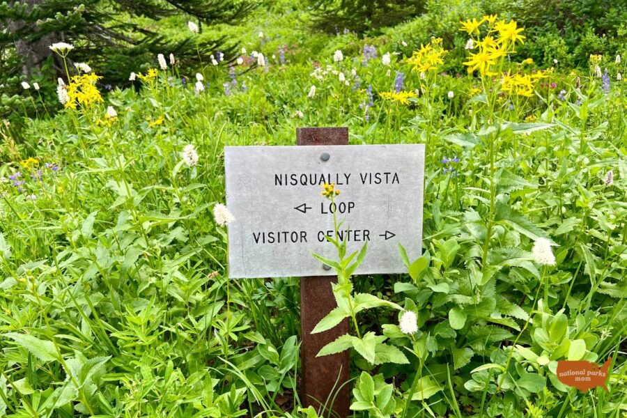trail marker sign for Nisqually Vista Trail, Paradise area of Mt. Rainier NP