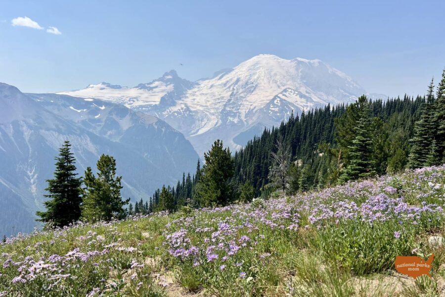 view of Mt. Rainier from the Silver Forest Trail