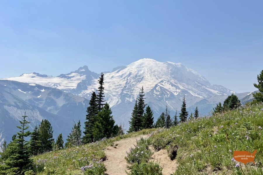 view of Mt. Rainier from the Silver Forest Trail