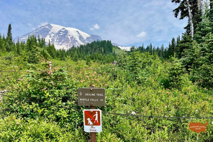NPS trail marker for Skyline Trail and Myrtle Falls with Mt. Rainier peak in background