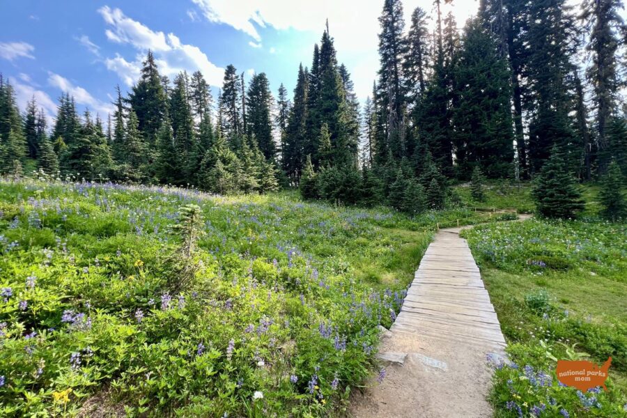Tipsoo Lake Trail, Mt Rainier NP