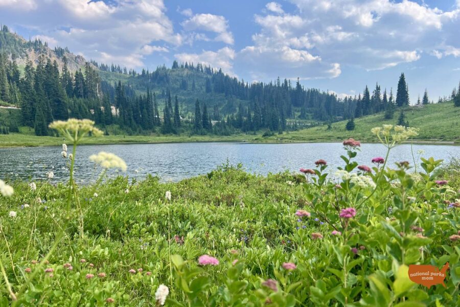 Tipsoo Lake Trail, Mt Rainier NP