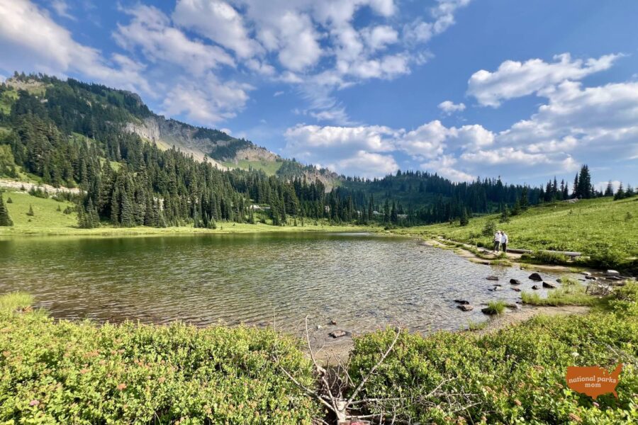 Tipsoo Lake, Mt Rainier NP