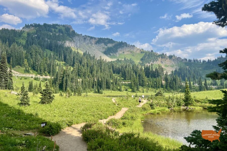 view along the Tipsoo Lake Trail, Mt Rainier NP