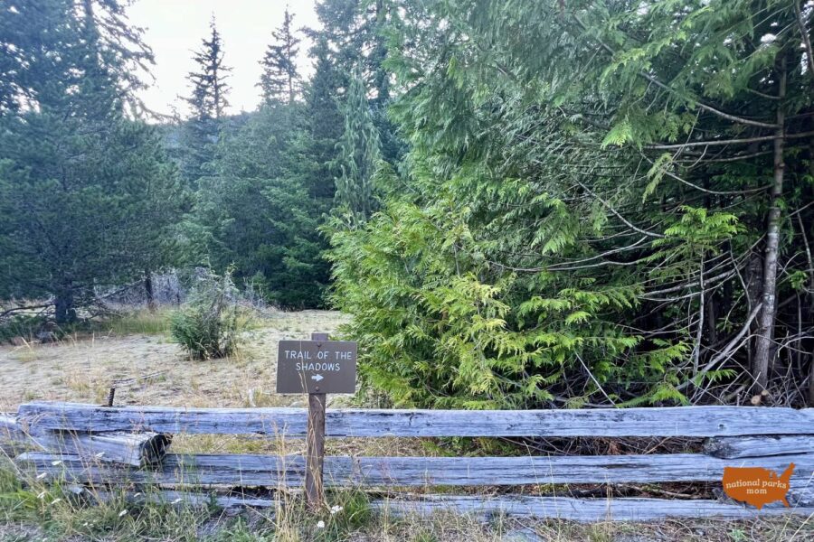 trail sign for Trail of Shadows Mt. Rainier