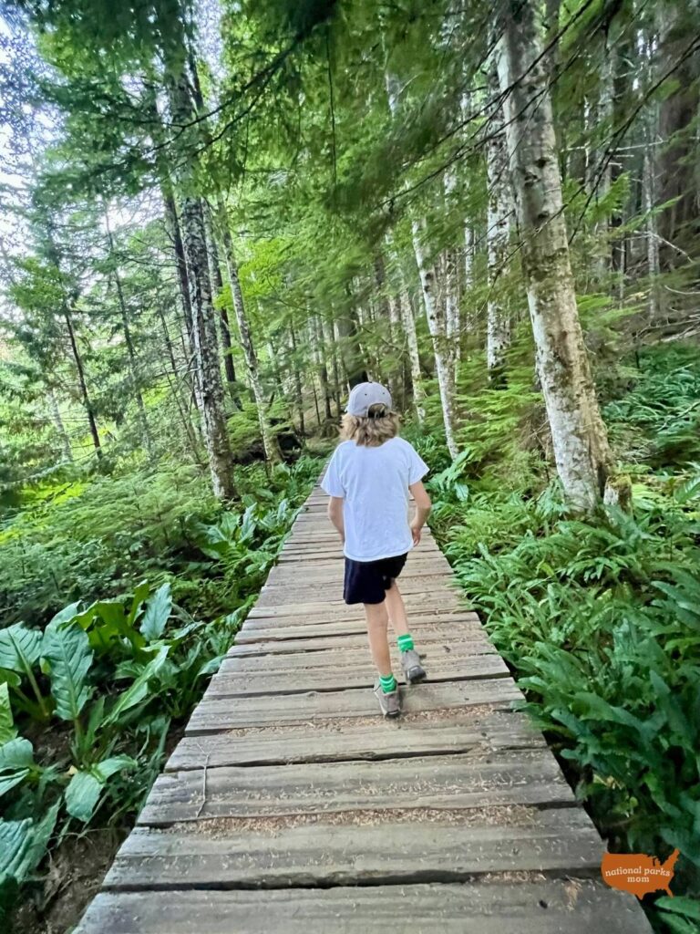 boy walking on a boardwalk on the Trail of Shadows