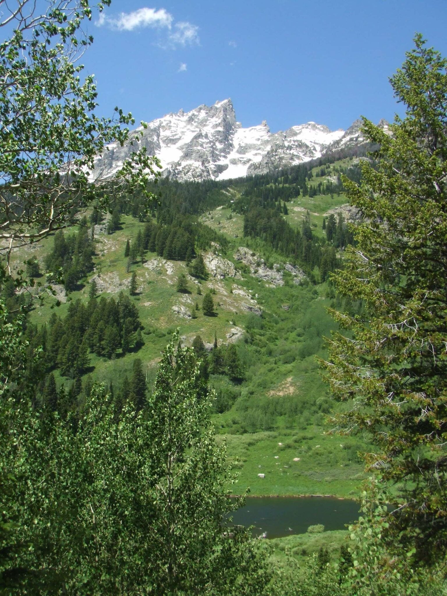 16 BEST Grand Teton National Park Hikes for Families National Parks Mom