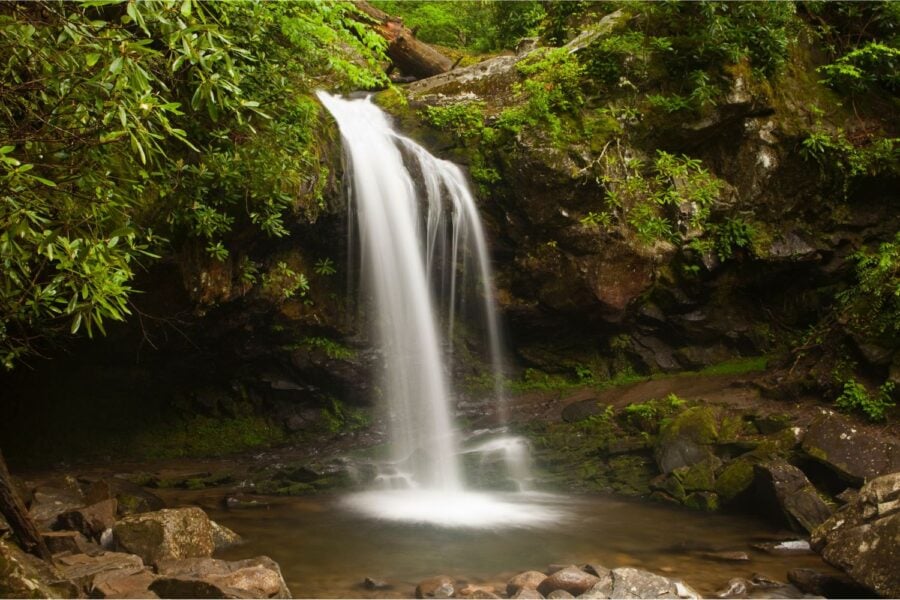 Grotto Falls, , Great Smoky Mountains National Park