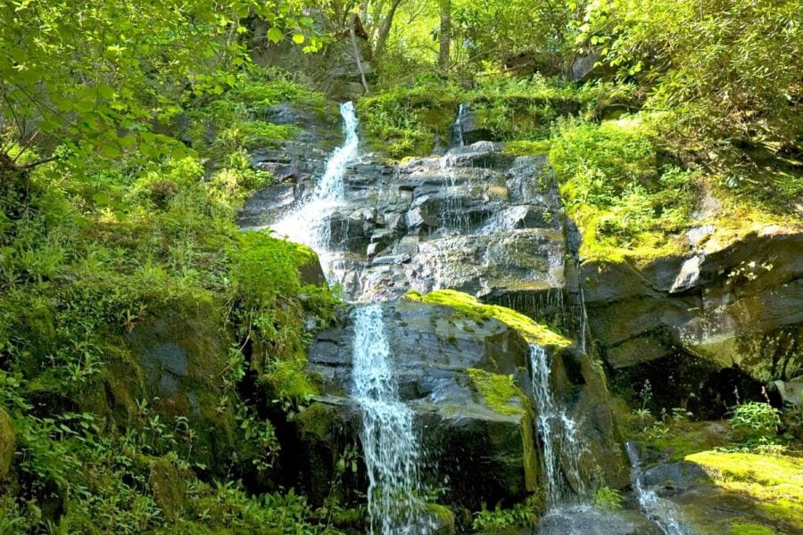 Hen Wallow Falls, Great Smoky Mountains National Park