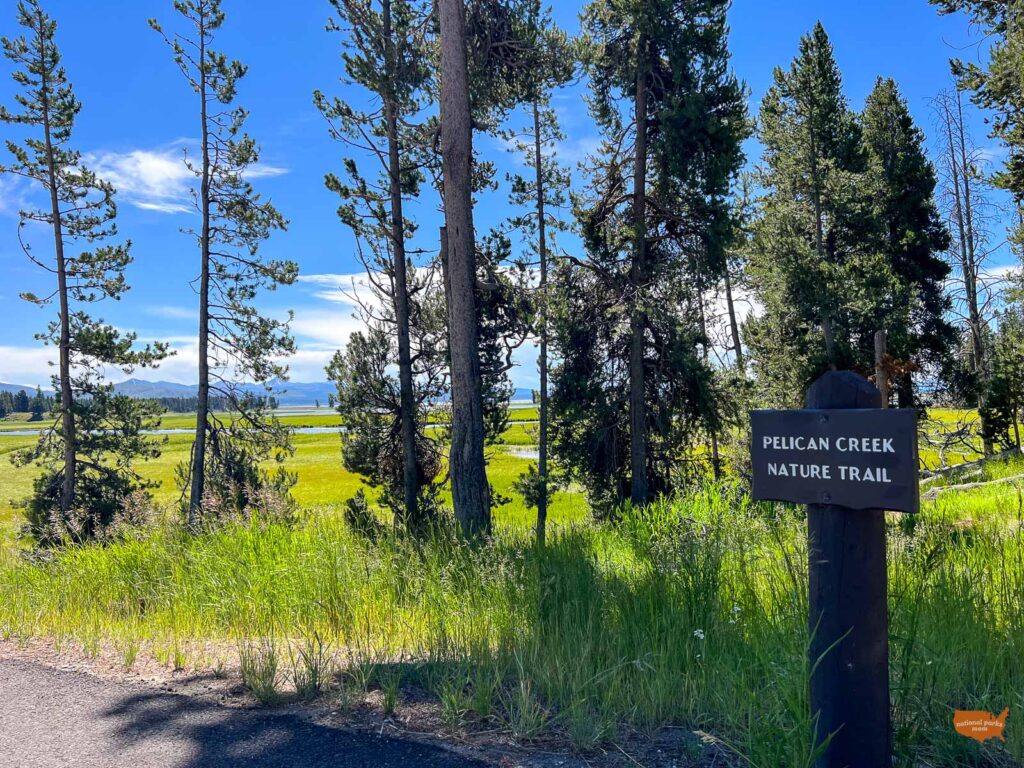 17 BEST Yellowstone National Park Hikes for Families - National Parks Mom