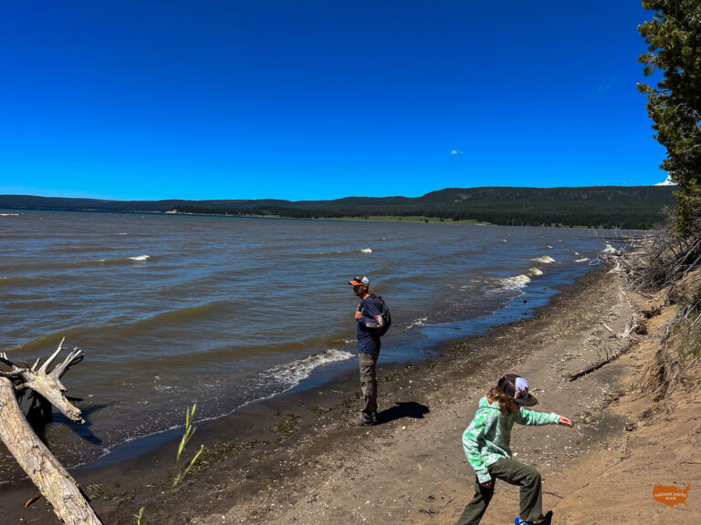 17 BEST Yellowstone National Park Hikes for Families - National Parks Mom