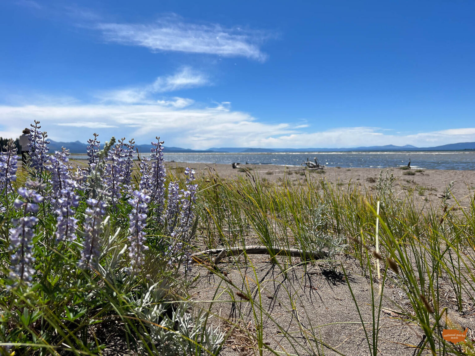 17 BEST Yellowstone National Park Hikes for Families - National Parks Mom