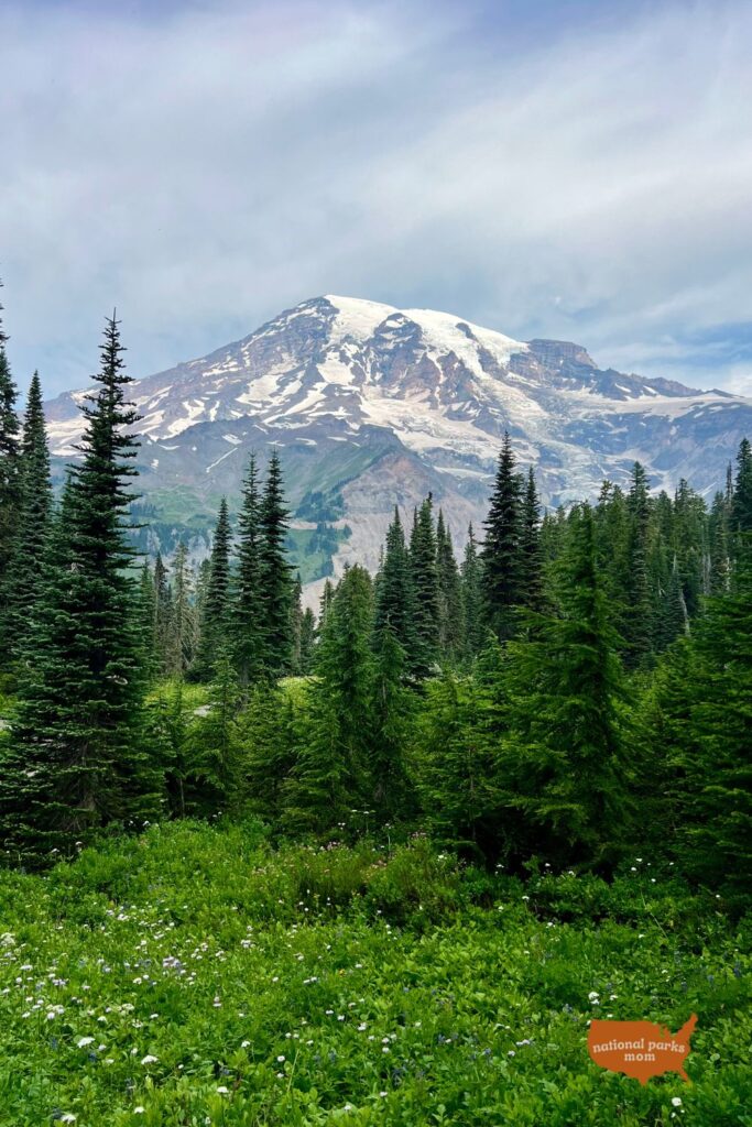 view along the Nisqually Vista trail, Mt. Rainier