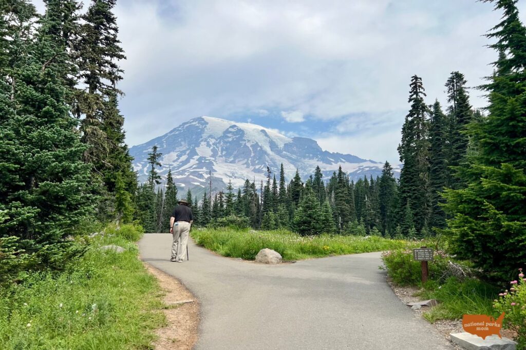 man hiking along the Nisqually Vista Trail, Mt. Rainier