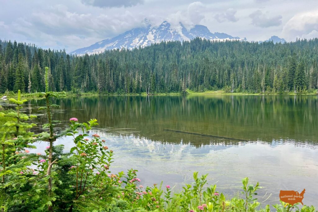 reflection of Mt. Rainier at Reflection Lake